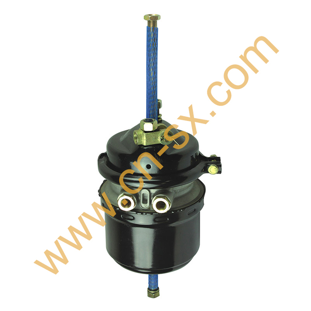 T2424DCP